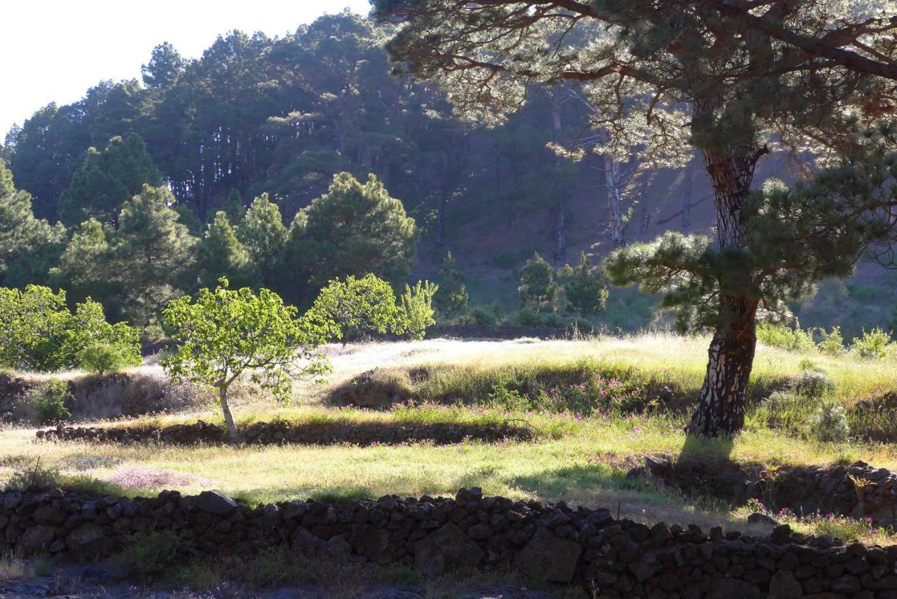 Casa Imeldo Y Eloisa El Pinar (El Hierro)