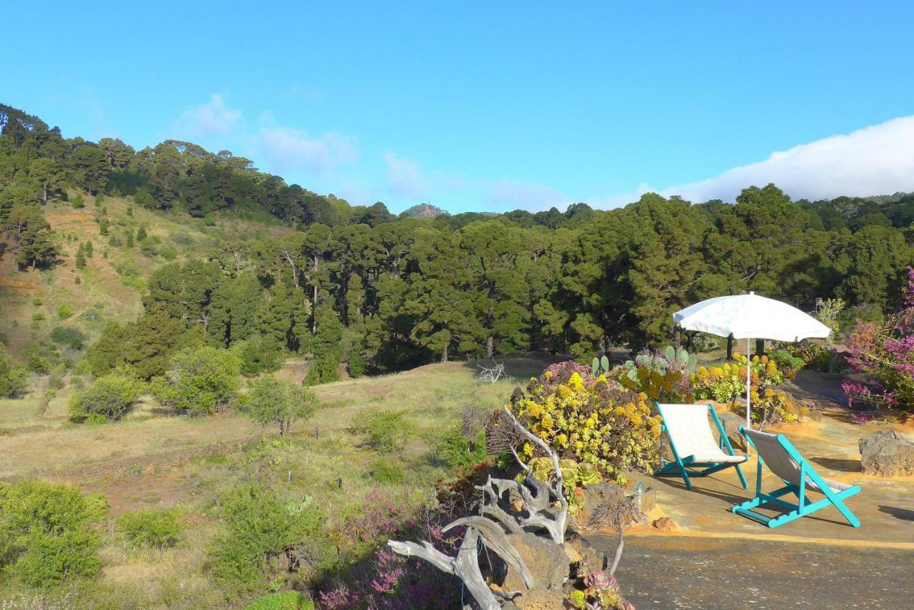 Casa Imeldo Y Eloisa Appartement El Pinar (El Hierro)